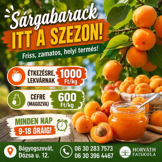 gyümölcsfa képek